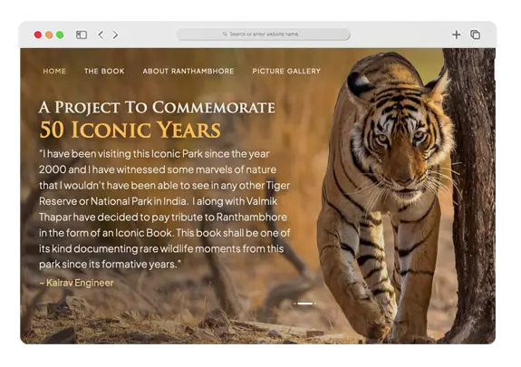 Website Designing  Services for Wildlife Photographer